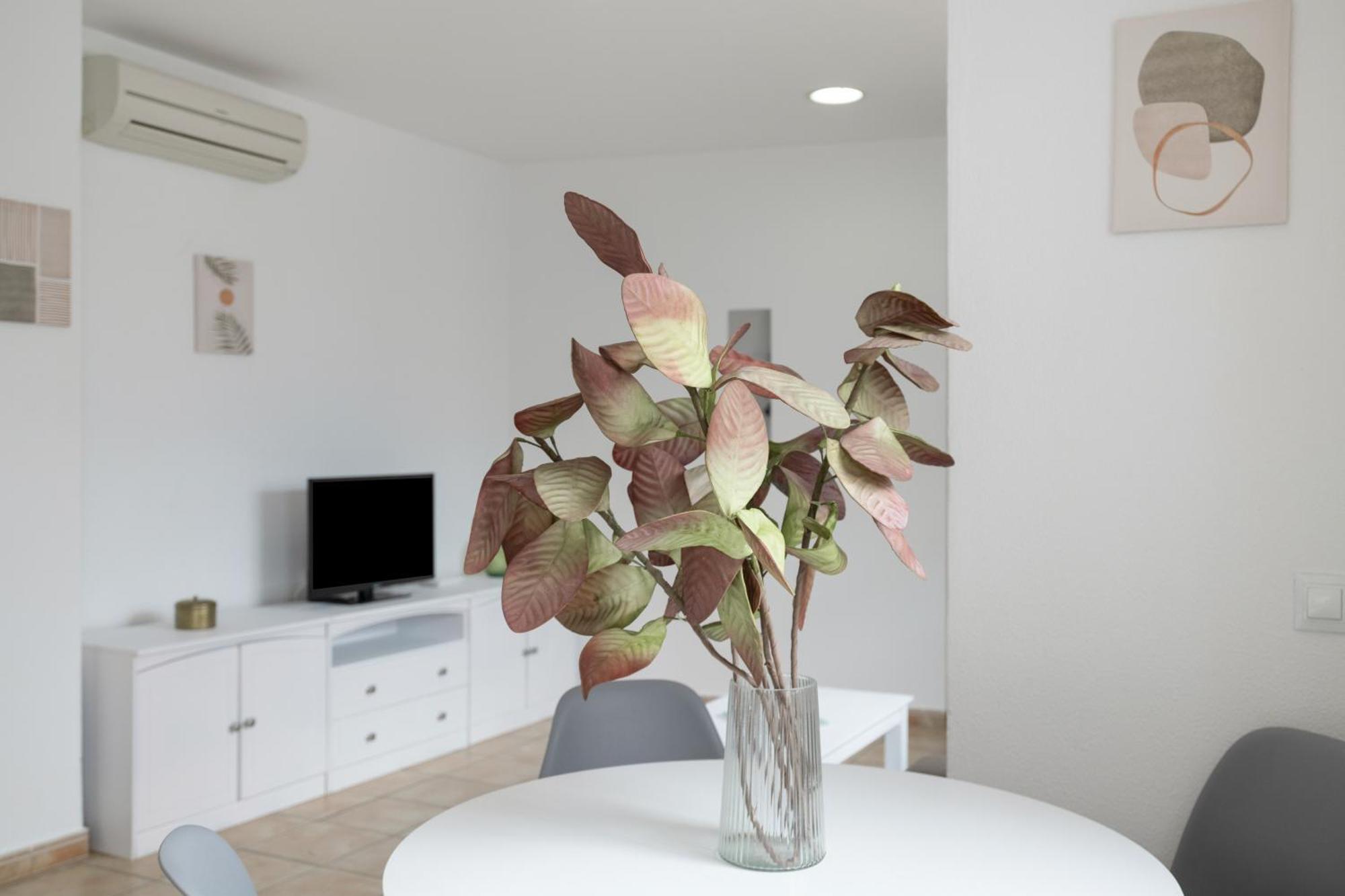 Apartamento Perez Zara 4 Conil De La Frontera Buitenkant foto